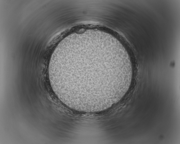 X0000116490967201001061138