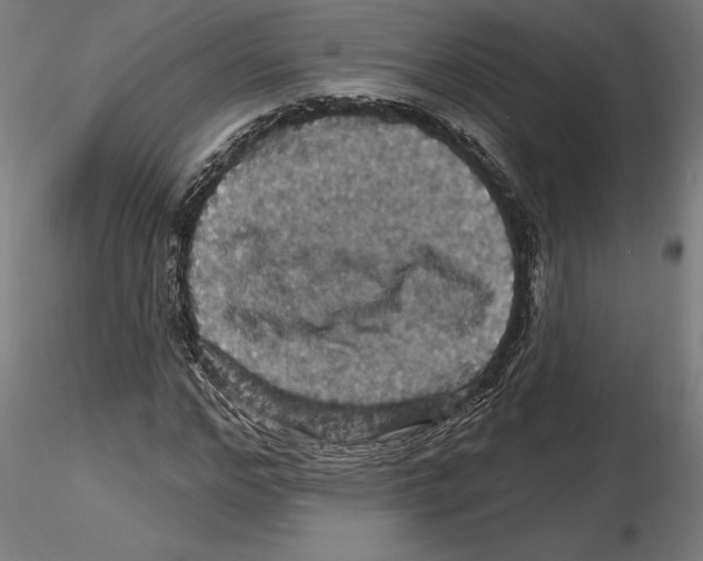 X0000116490968201001061138