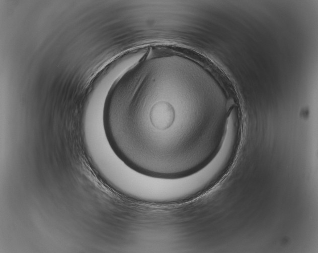 X0000116490969201001061138