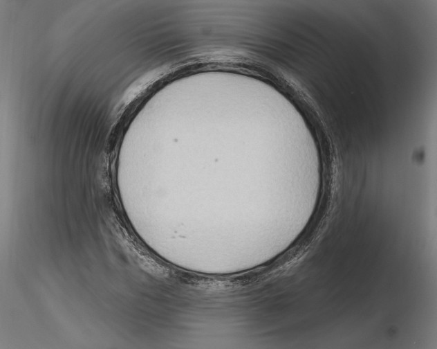 X0000116490970201001061138