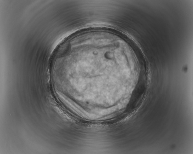 X0000116490973201001061138