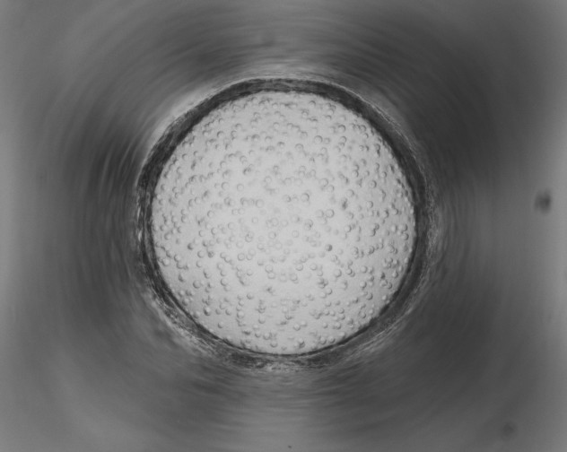 X0000116490974201001061138