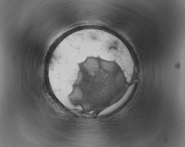 X0000116490975201001061138