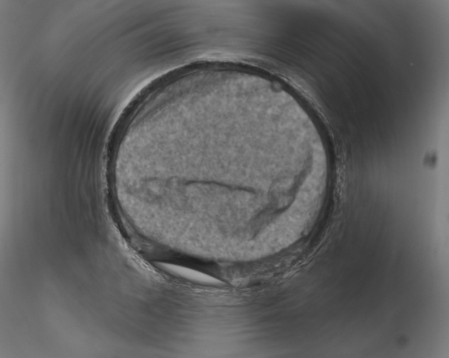 X0000116490976201001061138