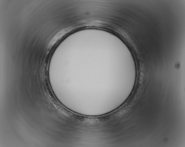 X0000116490978201001061137