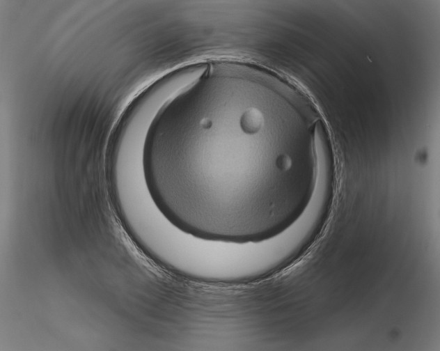 X0000116490981201001061137