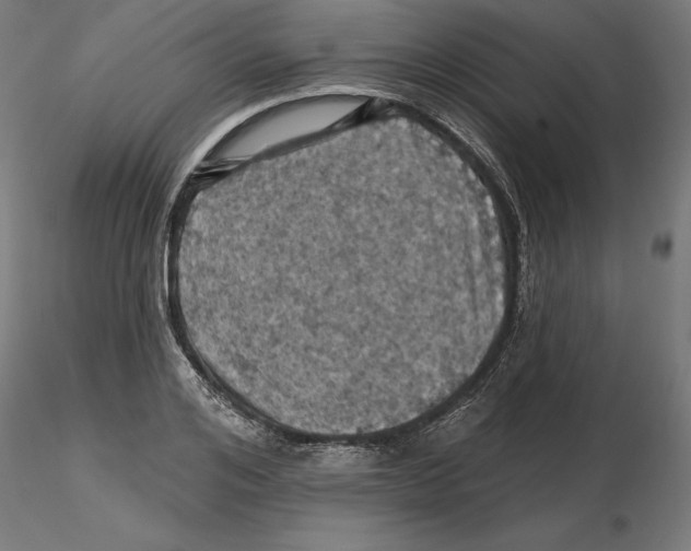 X0000116490984201001061137