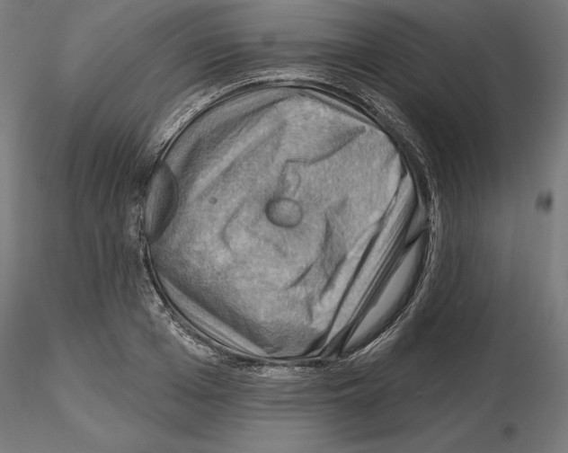 X0000116490985201001061137