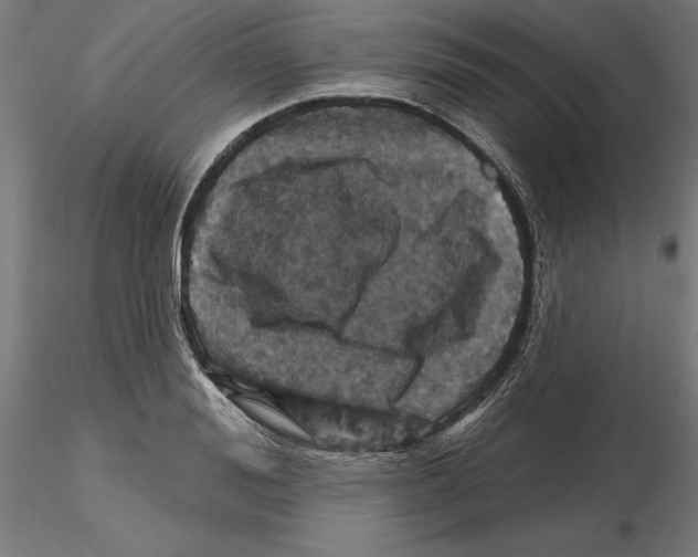 X0000116490988201001061137