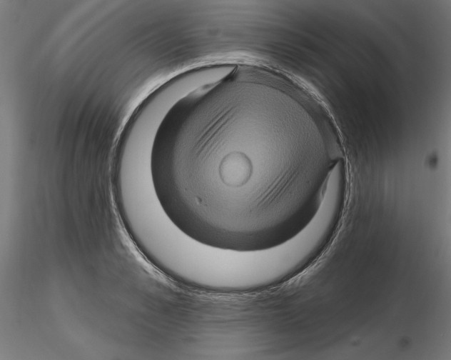 X0000116490989201001061137