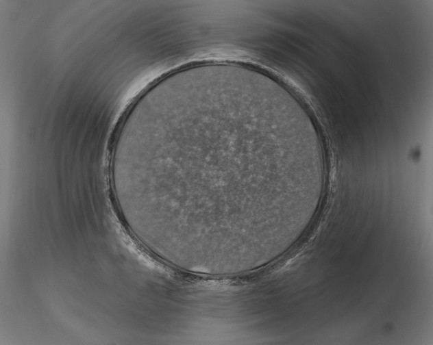 X0000116490990201001061137