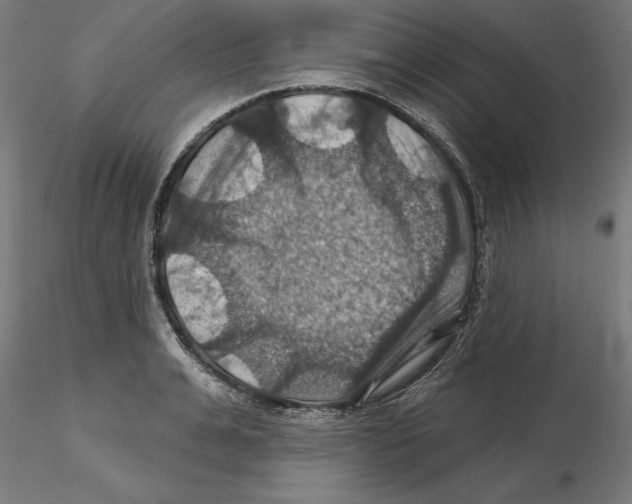 X0000116490991201001061137