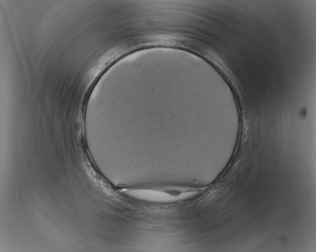 X0000116490994201001061137