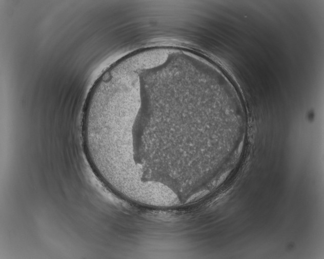 X0000116490995201001061137