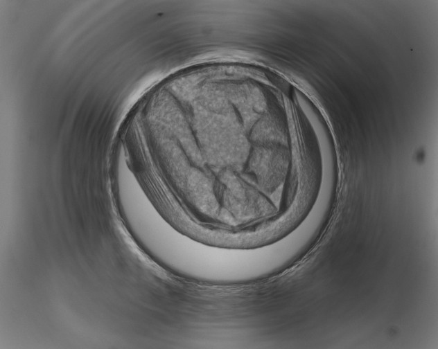 X0000116490997201001061137