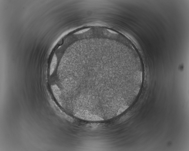 X0000116491000201001061137