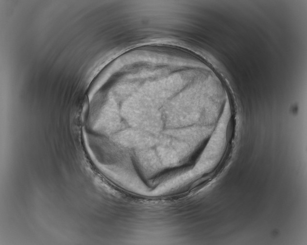 X0000116491001201001061137