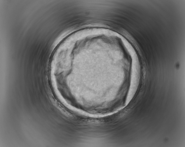 X0000116491002201001061137