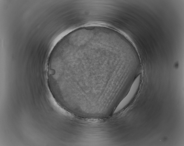 X0000116491003201001061137