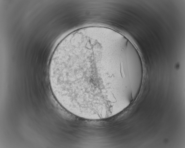 X0000116491004201001061137