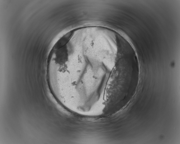 X0000116491005201001061137