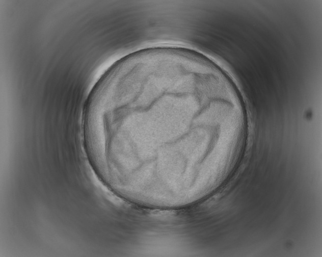 X0000116491006201001061137