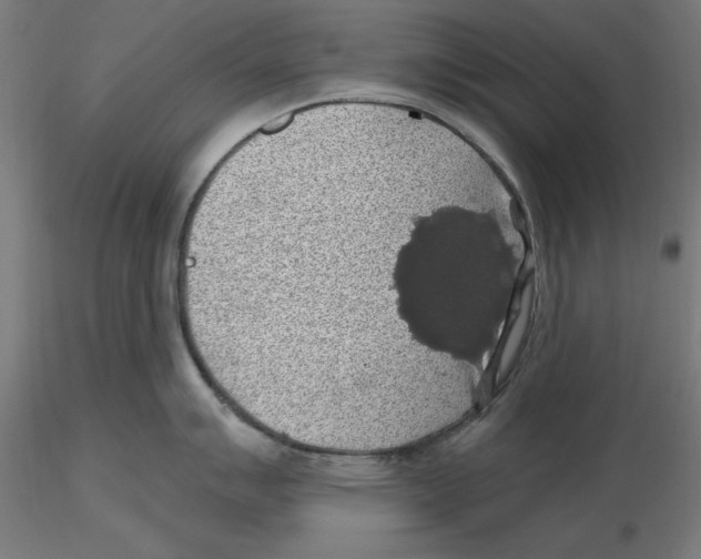 X0000116491007201001061137