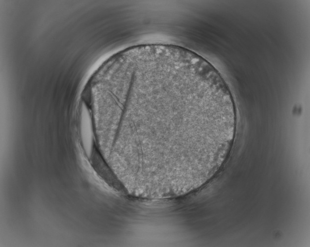 X0000116491008201001061137