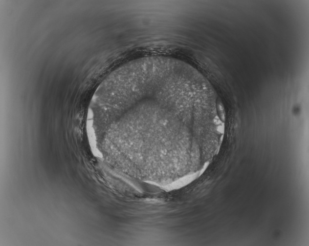 X0000116491010201001061136