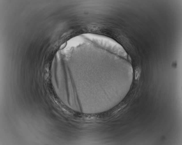 X0000116491011201001061136