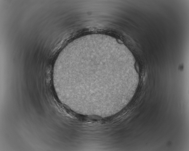 X0000116491012201001061136