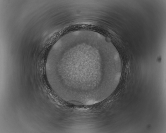 X0000116491014201001061136