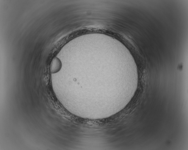 X0000116491015201001061137