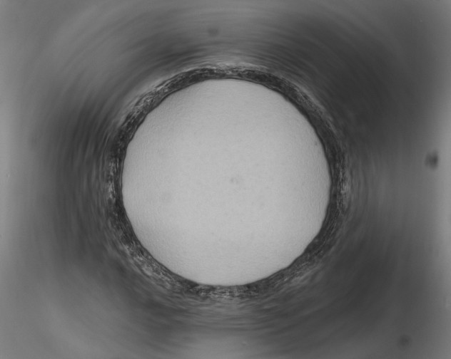 X0000116491016201001061137