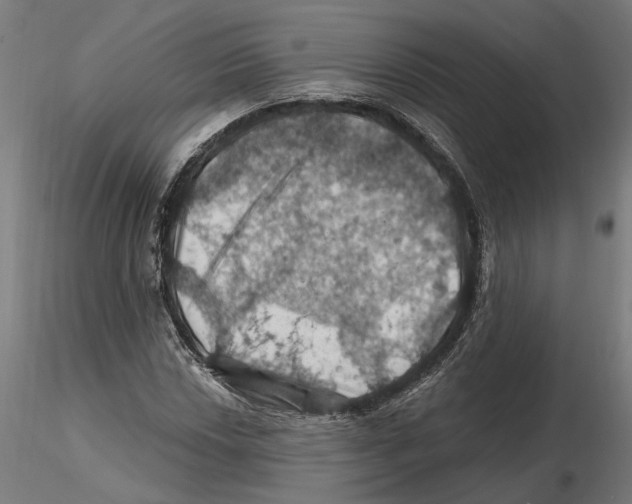 X0000116491018201001061137