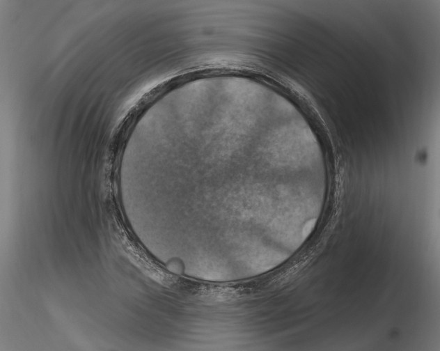 X0000116491019201001061137