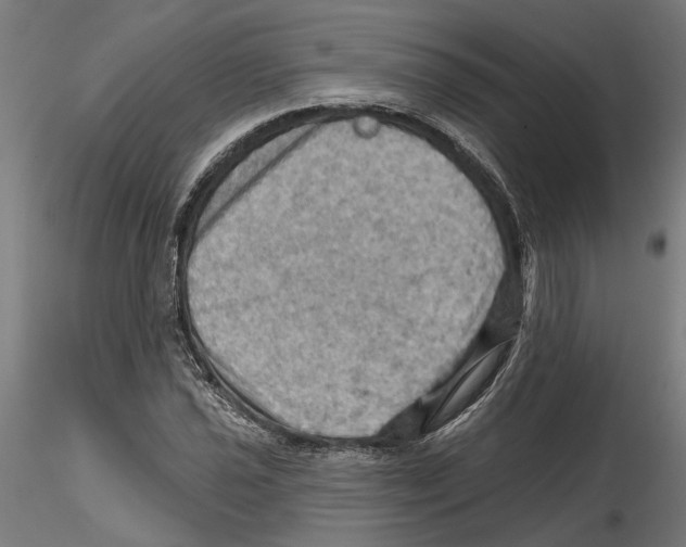 X0000116491021201001061137