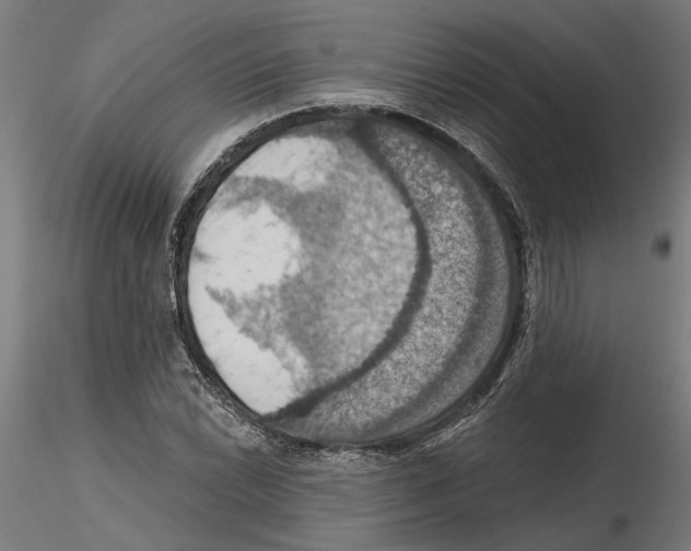 X0000116491022201001061137