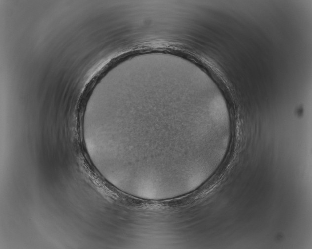 X0000116491023201001061137