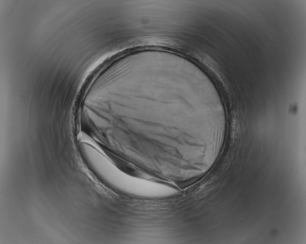 X0000116491024201001061137