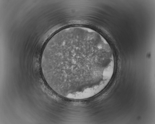 X0000116491025201001061137