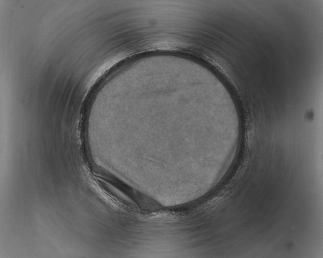 X0000116491026201001061137