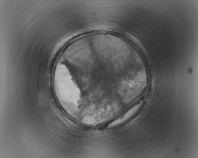 X0000116491027201001061137