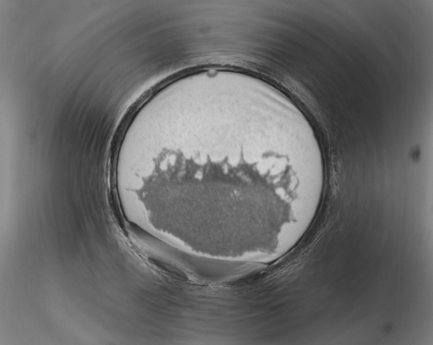 X0000116491028201001061137