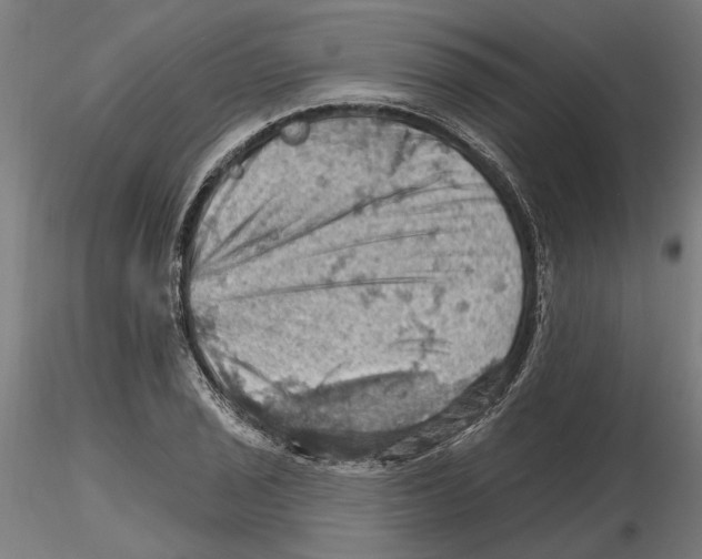 X0000116491029201001061137