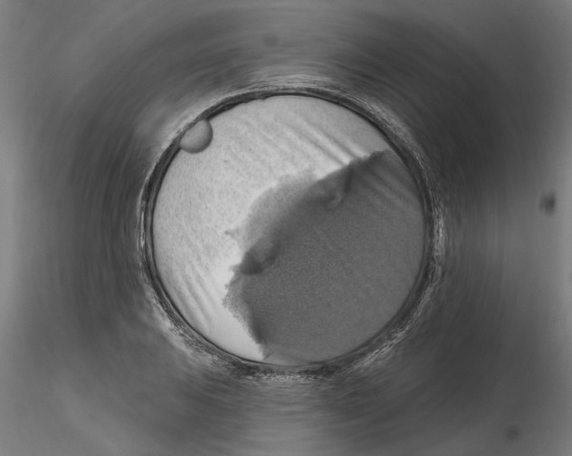 X0000116491031201001061137