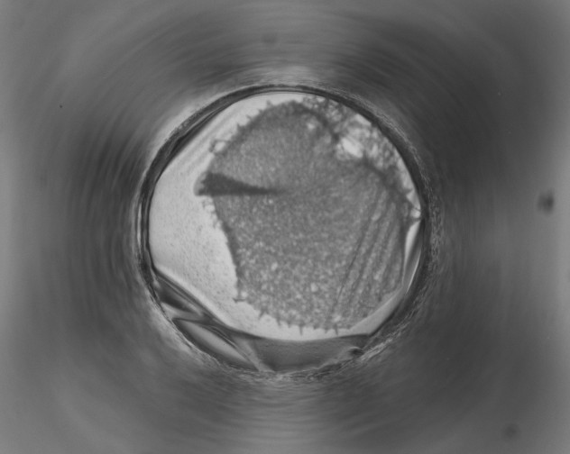 X0000116491032201001061137