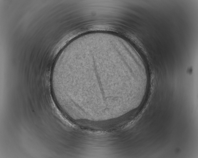 X0000116491033201001061137