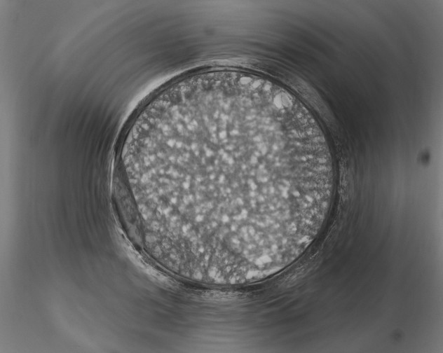 X0000116491036201001061137