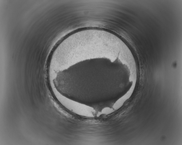 X0000116491037201001061137